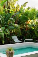 Estelle CHABOT - CHABOT